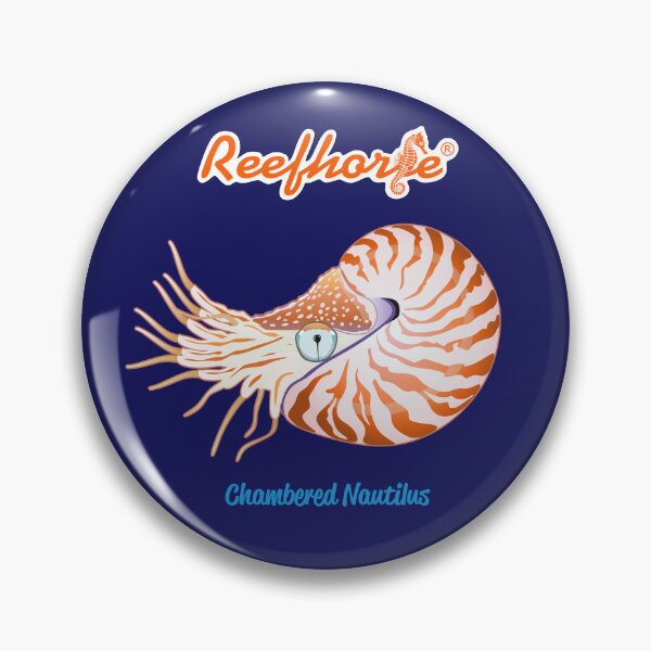Item preview, Chambered Nautilus 2 designed and sold by KaplanCrypto.