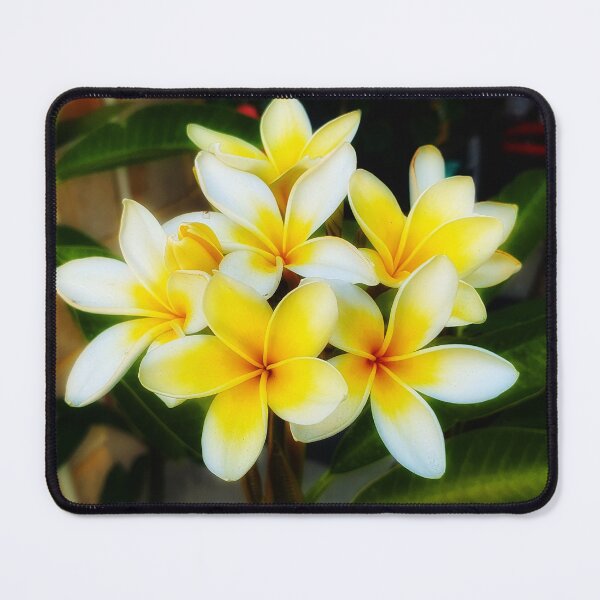 Item preview, Yellow Frangipani Flower Bouquet – Tropical Plumeria Botanical Art designed and sold by JensCreativDesigns.