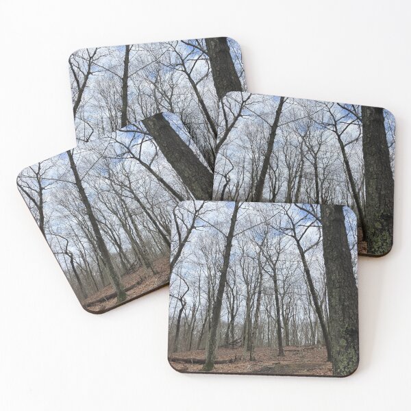 Item preview, Bleak Winter Forest  designed and sold by Amanda1775.