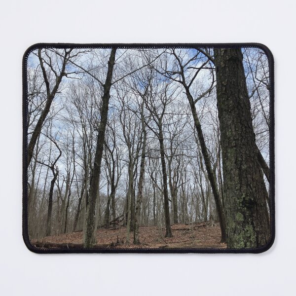Item preview, Bleak Winter Forest designed and sold by Amanda1775.