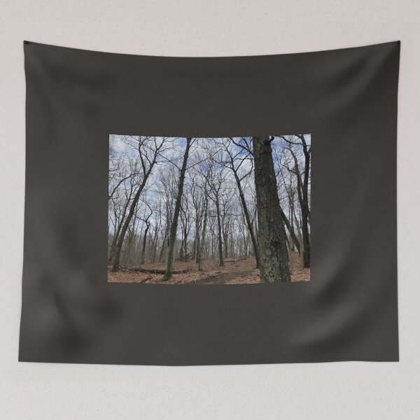 Item preview, Bleak Winter Forest  designed and sold by Amanda1775.