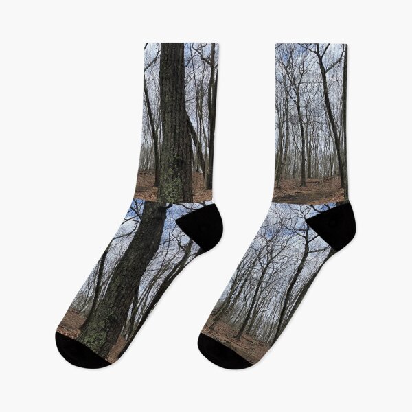 Item preview, Bleak Winter Forest  designed and sold by Amanda1775.