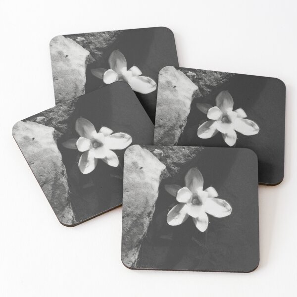 Item preview, Magnolia I - Melancholy Magnolia Blossom Photograph designed and sold by Irene Estelle.