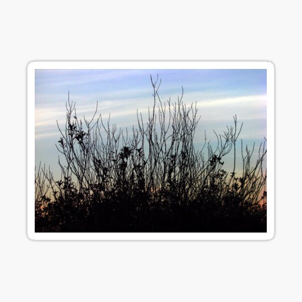 Reaching for Sky Sticker