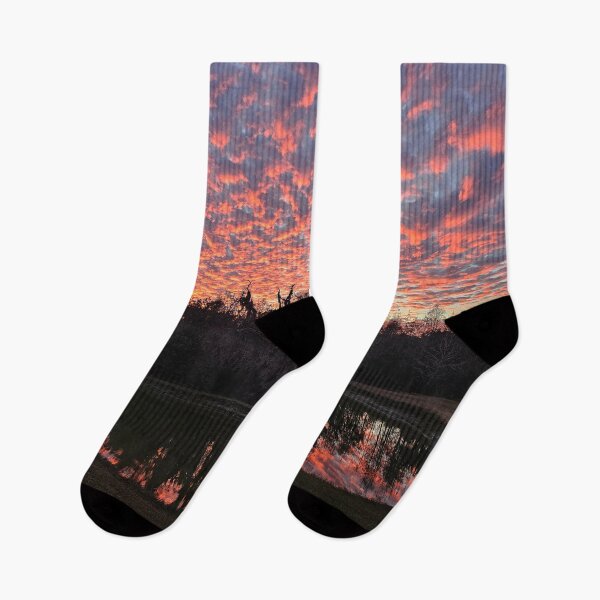 Item preview, Sunset Reflection in the pond designed and sold by Alla Gill.