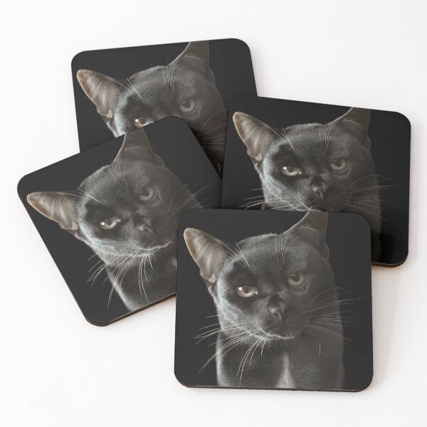 Item preview, Black Cat — Silent Gaze designed and sold by Massimo Righi.