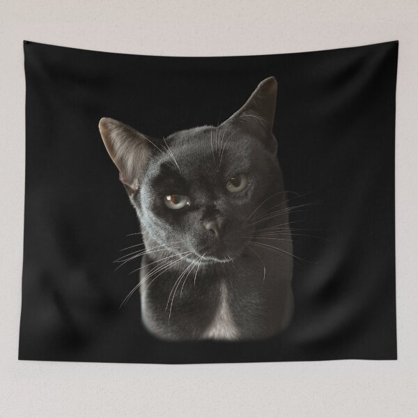Item preview, Black Cat — Silent Gaze designed and sold by Massimo Righi.