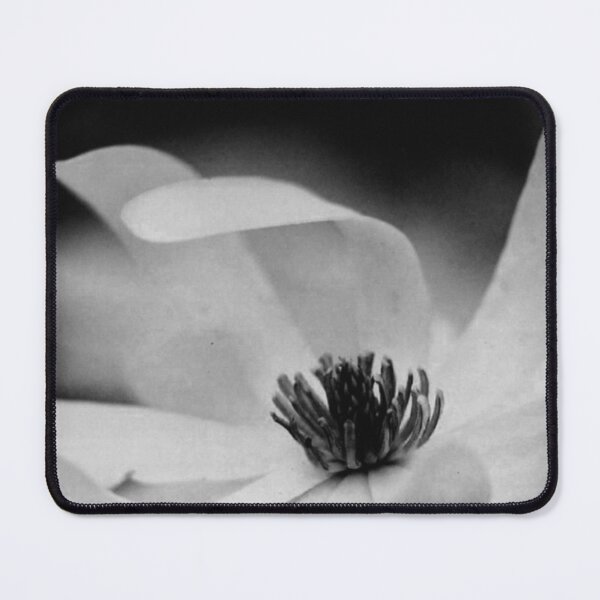 Item preview, Magnolia III - Melancholy Magnolia Blossom Photograph designed and sold by Irene Estelle.