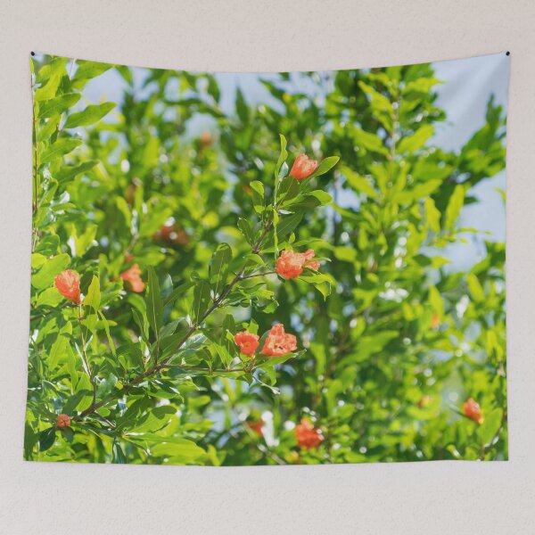 Item preview, Pomegranate Tree Crown Blooming in the Sunlight designed and sold by Georgia Mizuleva.
