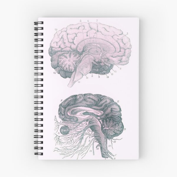 Item preview, Medically Complex designed and sold by Plexus Studio.