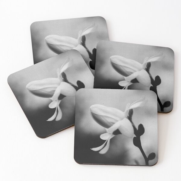 Item preview, Magnolia IV - Melancholy Magnolia Blossom Photograph designed and sold by Irene Estelle.
