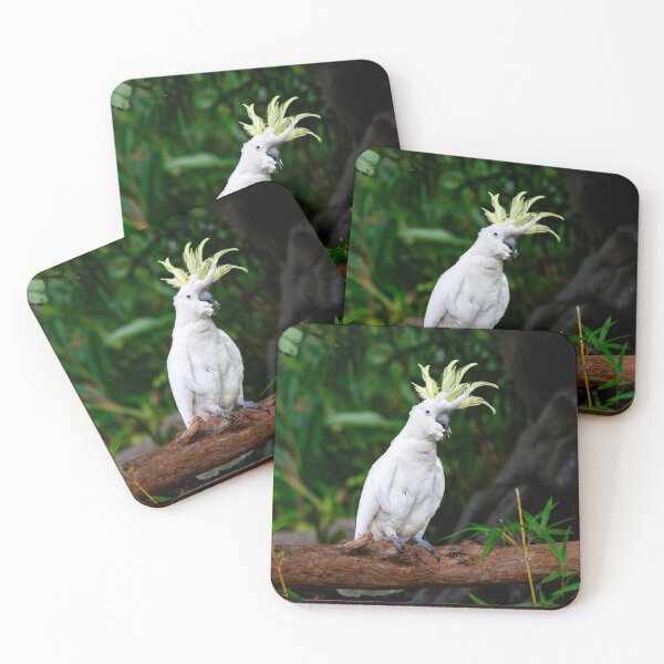 Item preview, Golden Crest: Sulphur-crested Cockatoo Portrai designed and sold by photosbyfebin.