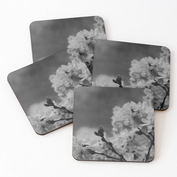 Item preview, Magnolia V - Melancholy Magnolia Blossom Photograph designed and sold by Irene Estelle.