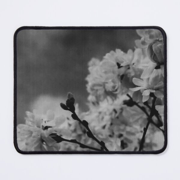 Item preview, Magnolia V - Melancholy Magnolia Blossom Photograph designed and sold by Irene Estelle.
