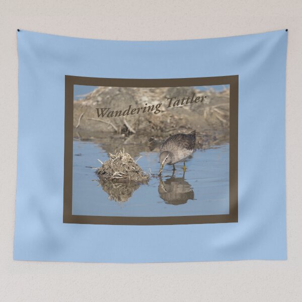 Item preview, Wandering Tattler Shorebird  designed and sold by CarolM.