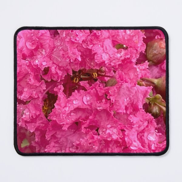 Item preview, Pink crape myrtle tree on a rainy day 2 designed and sold by TcDorsey88.
