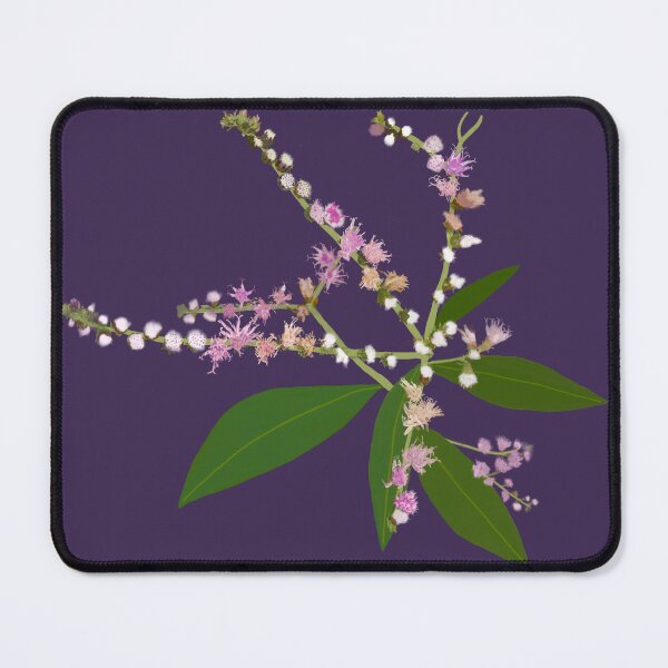 Item preview, Little Ironweed from Bolivia and Eastern Africa designed and sold by RuthGoring.