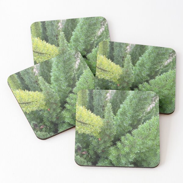 Item preview, Asparagus fern designed and sold by TcDorsey88.
