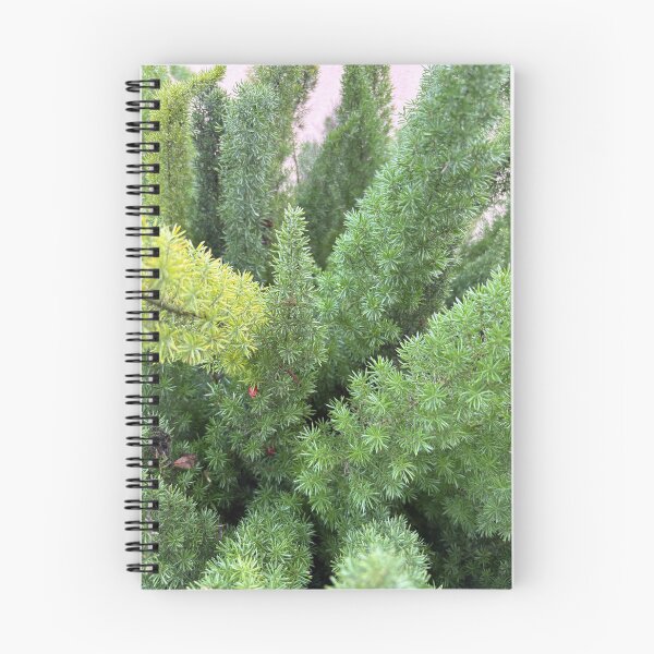 Item preview, Asparagus fern designed and sold by TcDorsey88.