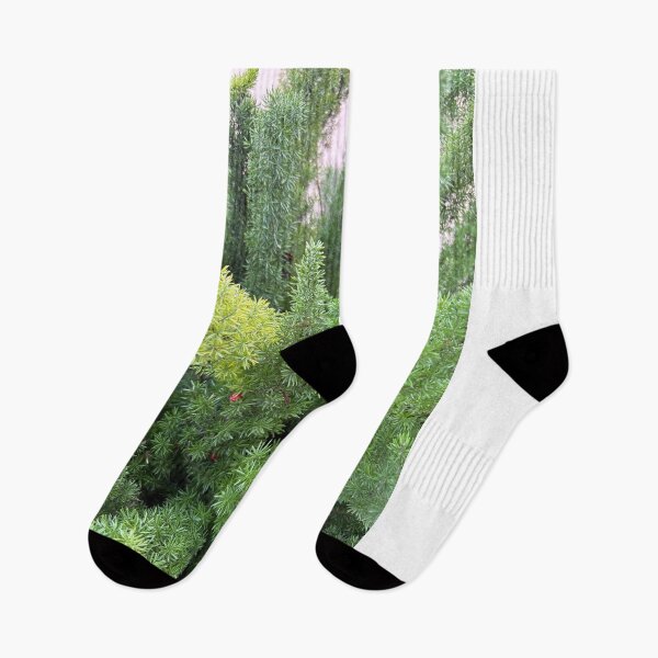 Item preview, Asparagus fern designed and sold by TcDorsey88.