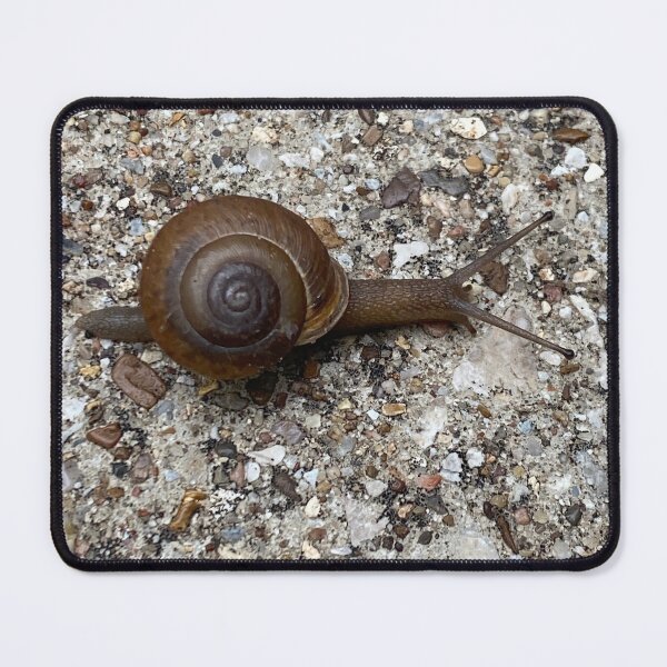 Item preview, Gary the snail designed and sold by TcDorsey88.