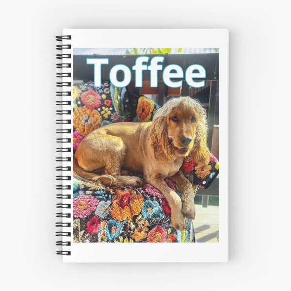 Item preview, Toffee designed and sold by AliciaSanson.