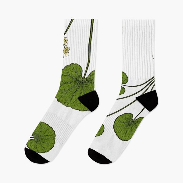 Item preview, Gotu Kola: Calm and Clarity designed and sold by LuxuryApparels.