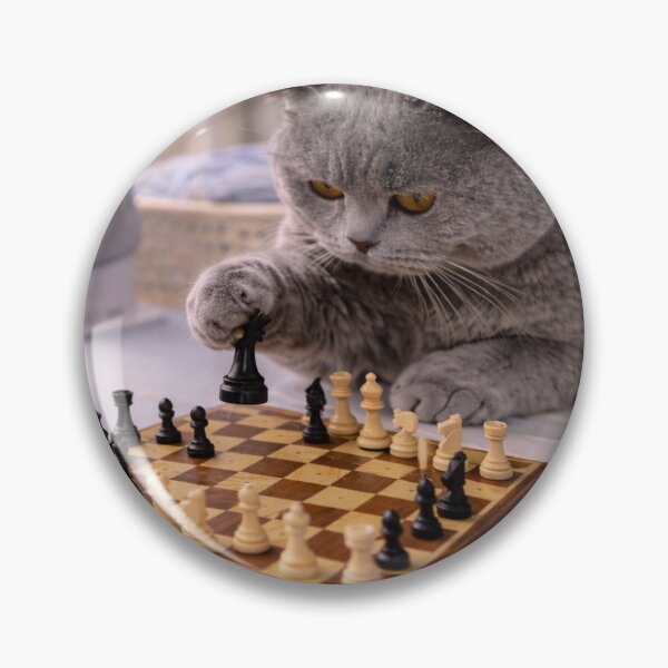 Artikelvorschau, Britisch Kurzhaar-Katze spielt Schach auf dem Bügelbrett entworfen und verkauft von LovelyCatGalaxy.