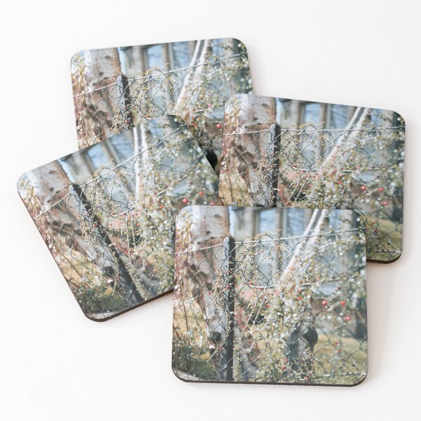 Item preview, quaint designed and sold by 5letters.