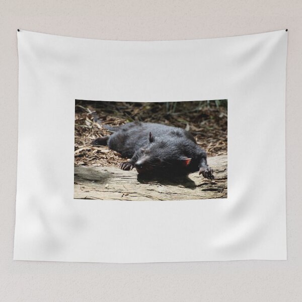 Item preview, Sunbaking Devil designed and sold by GP1746.
