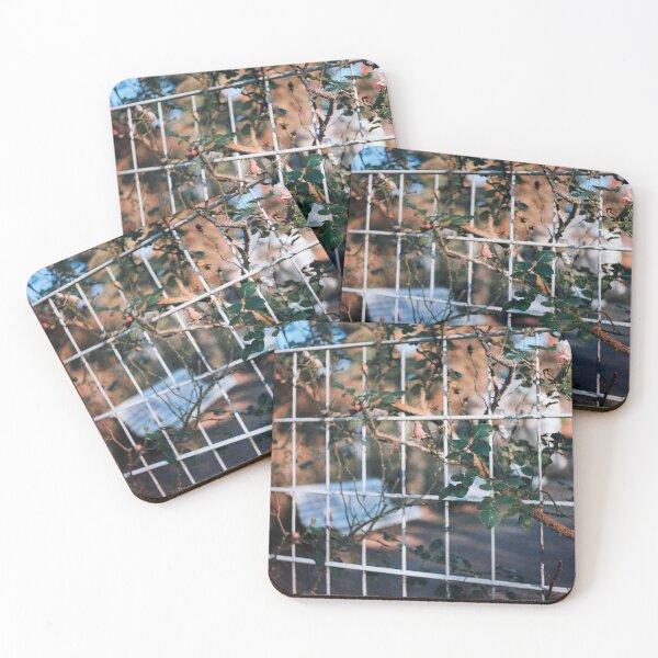 Item preview, quiescence designed and sold by 5letters.