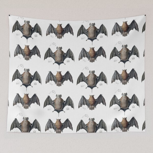 Item preview, 1847 Free-Tailed Bat & Red Myotis designed and sold by VintageArtwork.