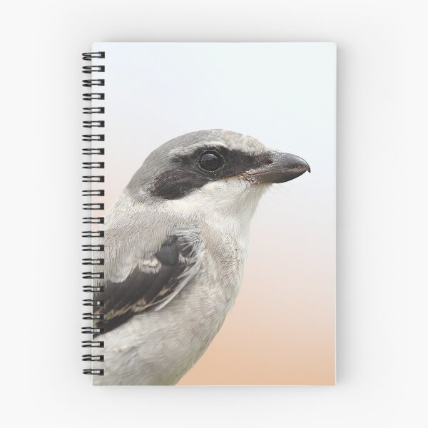Item preview, Shrike designed and sold by mlorenz.