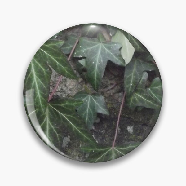 Item preview, Green Ivy, Hedera Helix designed and sold by Betulek.