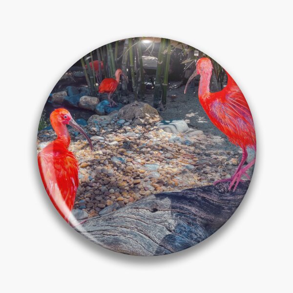 Item preview, Scarlet Ibis designed and sold by RJW Images.