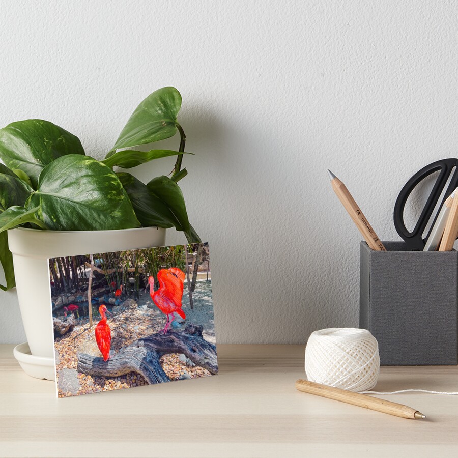 Item preview, Art Board Print designed and sold by RJWImages.