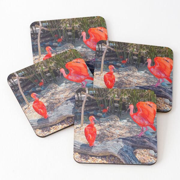 Item preview, Scarlet Ibis designed and sold by RJW Images.