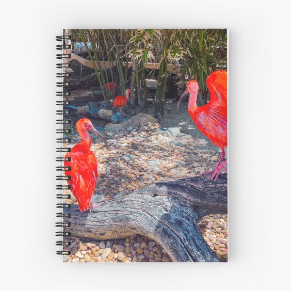 Item preview, Scarlet Ibis designed and sold by RJW Images.