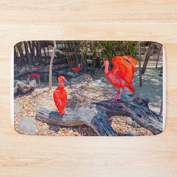 Item preview, Scarlet Ibis designed and sold by RJW Images.