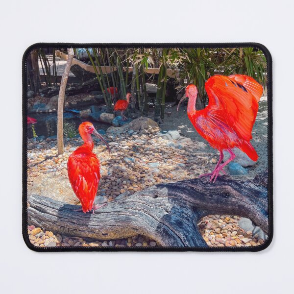 Item preview, Scarlet Ibis designed and sold by RJW Images.