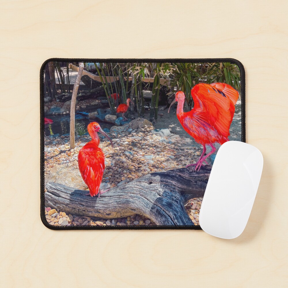 Item preview, Mouse Pad designed and sold by RJWImages.