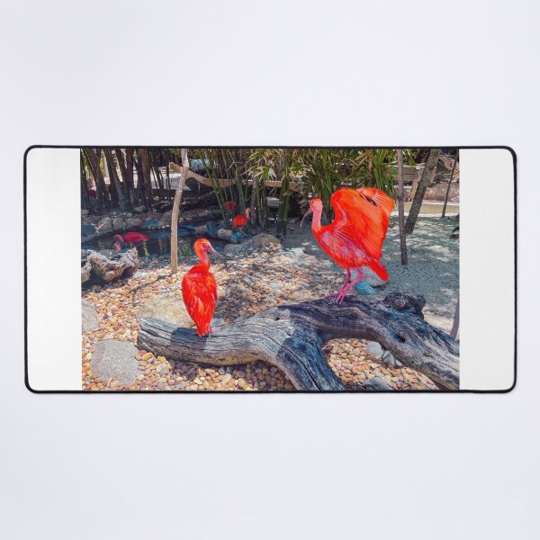 Item preview, Scarlet Ibis designed and sold by RJW Images.