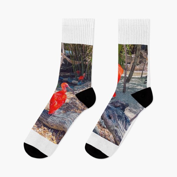 Item preview, Scarlet Ibis designed and sold by RJW Images.