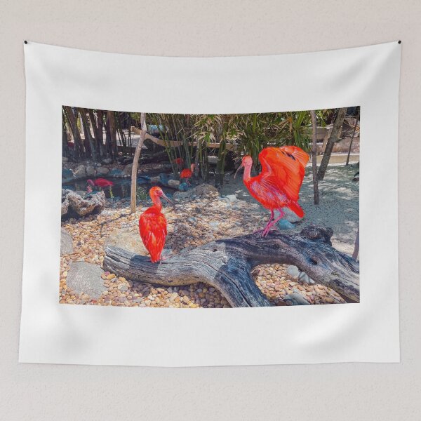 Item preview, Scarlet Ibis designed and sold by RJW Images.