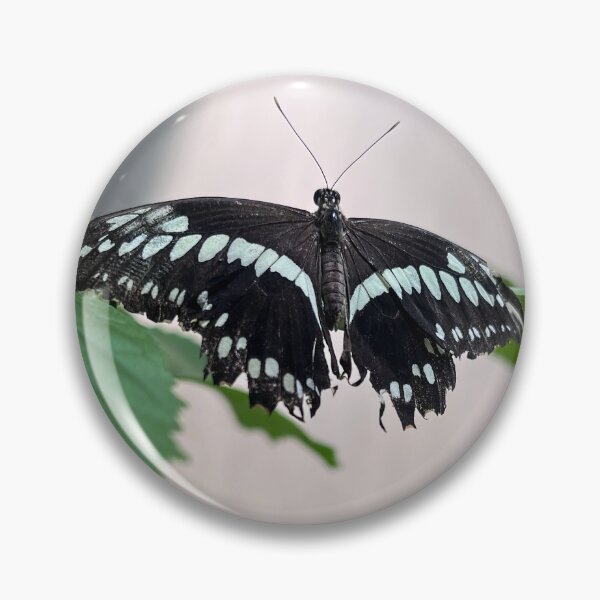 Item preview, Constantines Swallowtail Butterfly designed and sold by RJW Images.
