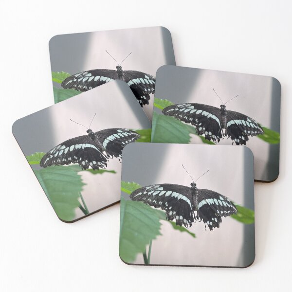 Item preview, Constantines Swallowtail Butterfly designed and sold by RJW Images.