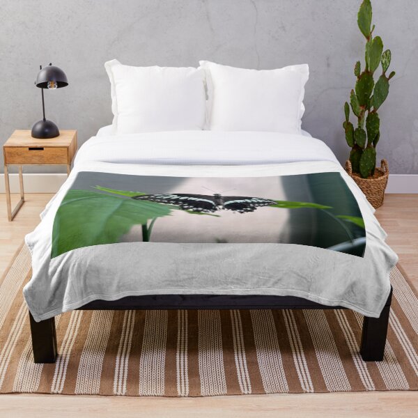Item preview, Constantines Swallowtail Butterfly designed and sold by RJW Images.