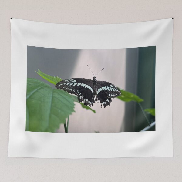 Item preview, Constantines Swallowtail Butterfly designed and sold by RJW Images.
