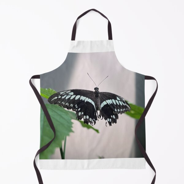 Item preview, Constantines Swallowtail Butterfly designed and sold by RJW Images.