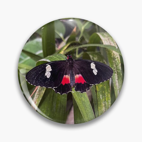 Item preview, Brushfooted Butterfly designed and sold by RJW Images.